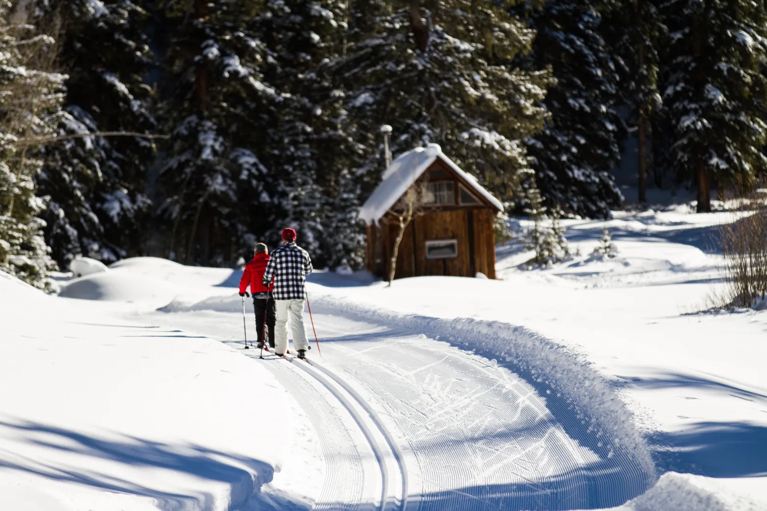 Cross-country skiers on a groomed Ashcroft Ski Touring trail.